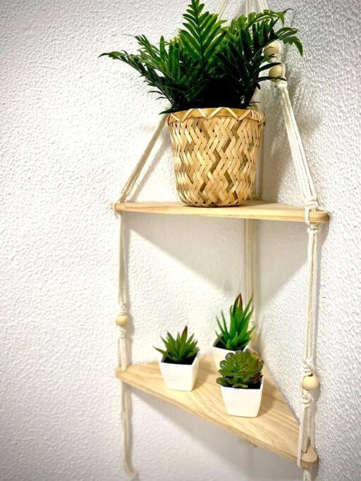 Mychoice Alegria By Bossh! Apartment